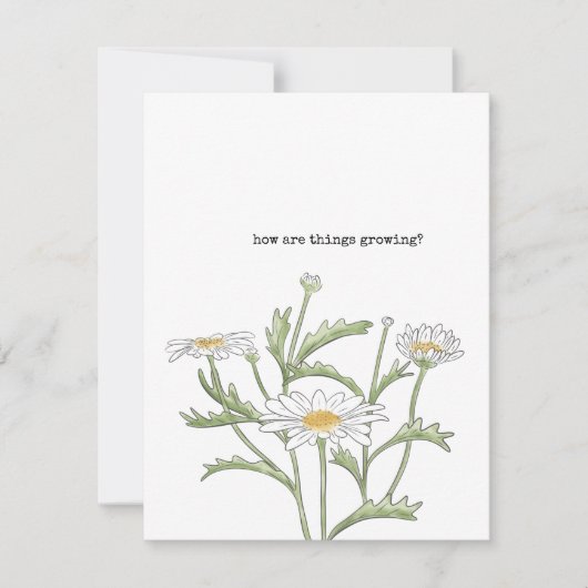 Daisy Note Card Mitteilungskarte (Vorderseite)