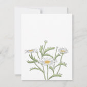 Daisy Note Card Mitteilungskarte (Rückseite)