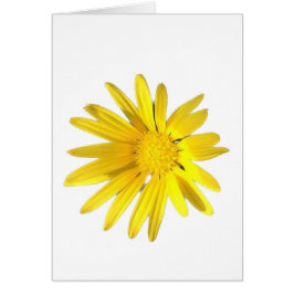 Daisy Note - Leere für Ihre Personalisierung