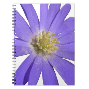 Daisy Notebook Blue Daisy Journals Blume Geschenke Notizblock