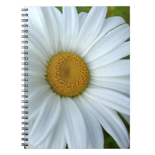 Daisy Notebook Classic Daisy Journals Blume Gesche Notizblock (Vorderseite)