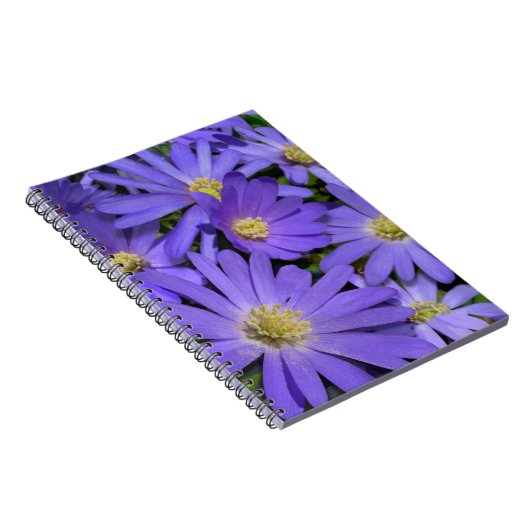 Daisy Notebook Lila Daisy Journals Geschenke Notizblock (Rechte Seite)