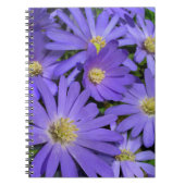 Daisy Notebook Lila Daisy Journals Geschenke Notizblock (Vorderseite)