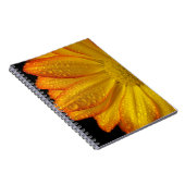 Daisy Notizblock (Rechte Seite)