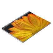 Daisy Notizblock (Linke Seite)