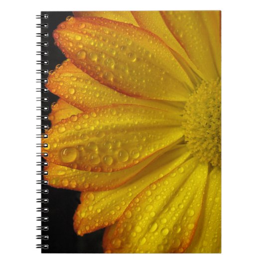 Daisy Notizblock (Vorderseite)