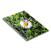 Daisy Notizblock (Rechte Seite)
