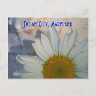Daisy Ocean City Postcard Postkarte