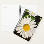 Daisy of a Planner. Planer (Anzeige)
