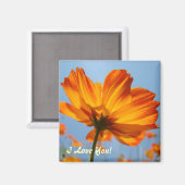 Daisy Orange Daisy Blume Magnet I Liebe You! (Vorderseite/Rückseite)