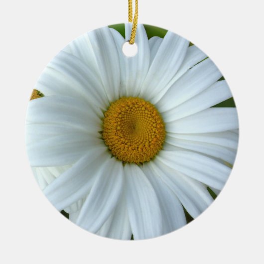 Daisy Ornament Blume Weihnachtsdekoration (Vorne)