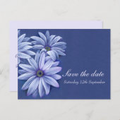 Daisy Osteospermum Hochzeit speichern Sie die Datu Ankündigungspostkarte (Vorne/Hinten)