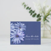 Daisy Osteospermum Hochzeit speichern Sie die Datu Ankündigungspostkarte (Stehend Vorderseite)