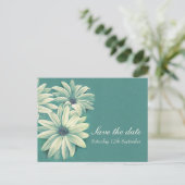 Daisy Osteospermum Hochzeit speichern Sie die Datu Ankündigungspostkarte (Stehend Vorderseite)