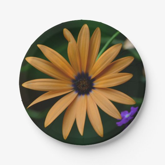 Daisy Paper Plate Pappteller (Vorderseite)