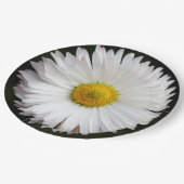 Daisy Pappteller (Schrägansicht)