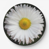 Daisy Pappteller (Vorderseite)