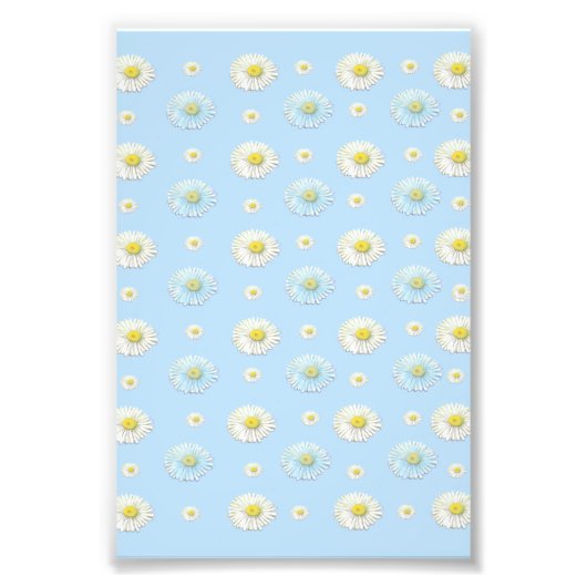 Daisy Pattern auf hellblauem Hintergrund Fotodruck (Vorne)