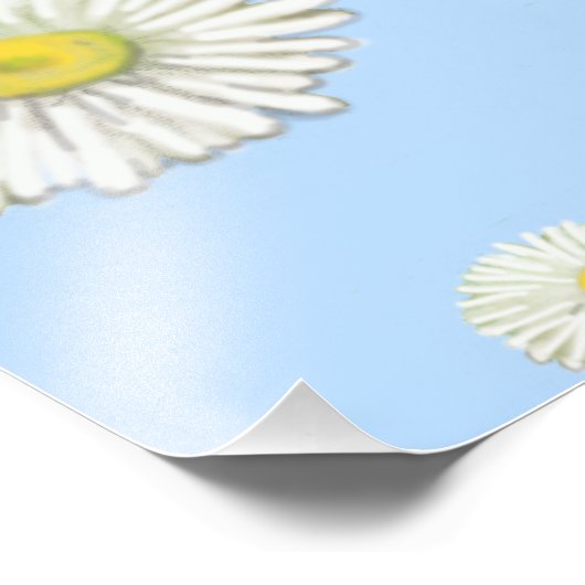 Daisy Pattern auf hellblauem Hintergrund Fotodruck (Ecke)