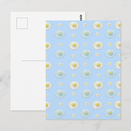 Daisy Pattern auf hellblauem Hintergrund Postkarte (Vorne/Hinten)