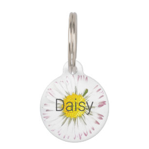 Daisy personalisierbar haustiermarke