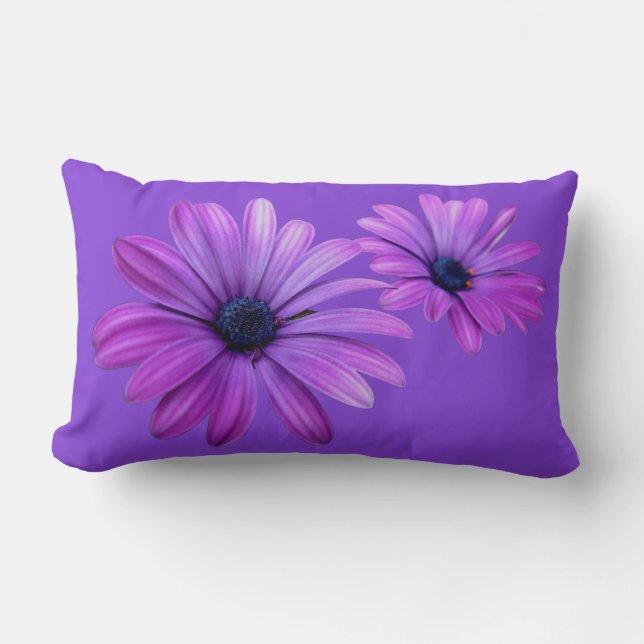Daisy Pillows Blue Daisies Pillows Blume Dekoratio Lendenkissen (Vorderseite)