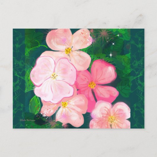 Daisy Pink Blume Postcard 2 Postkarte (Vorderseite)