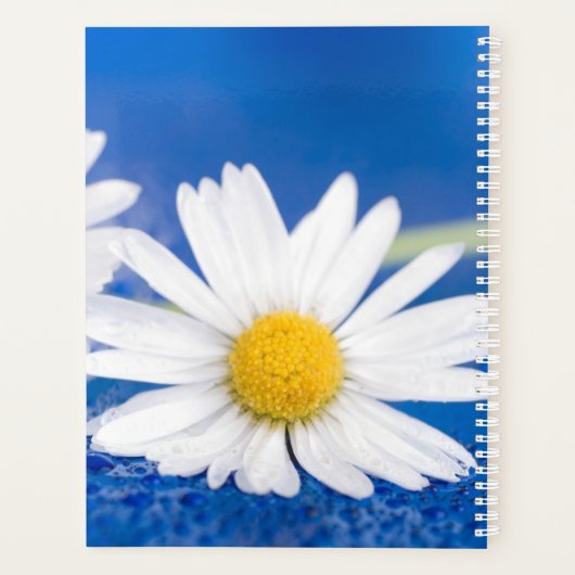Daisy Planer (Rückseite)
