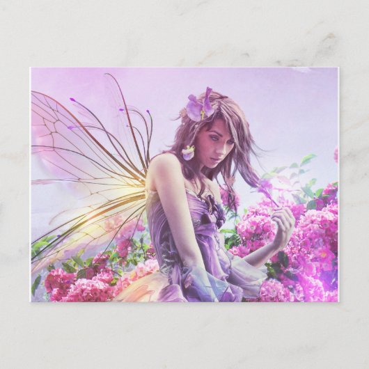 Daisy Post Card Postkarte (Vorderseite)