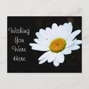Daisy Postcard - Anpassen Postkarte