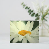 Daisy Postcard Postkarte (Stehend Vorderseite)