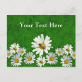 Daisy postcard template postkarte (Vorderseite)
