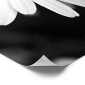 Daisy Poster (Ecke)