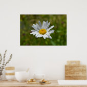 Daisy Poster (Küche)