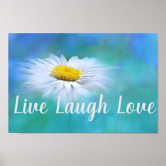 Daisy Poster (Vorne)