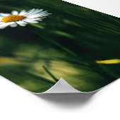 Daisy Poster - Hochwertiges Bild (Ecke)