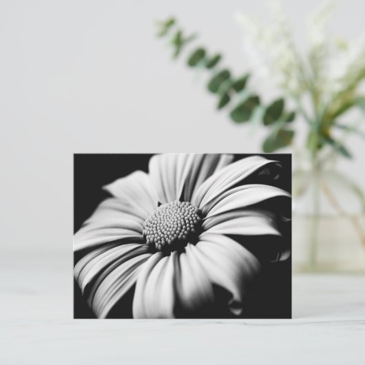 Daisy Postkarte (Stehend Vorderseite)