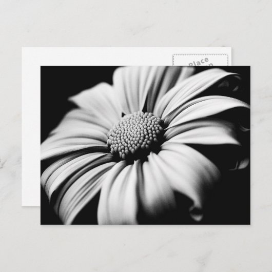 Daisy Postkarte (Vorne/Hinten)