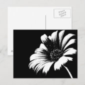 Daisy Postkarte (Vorne/Hinten)