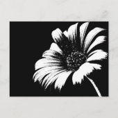 Daisy Postkarte (Vorderseite)