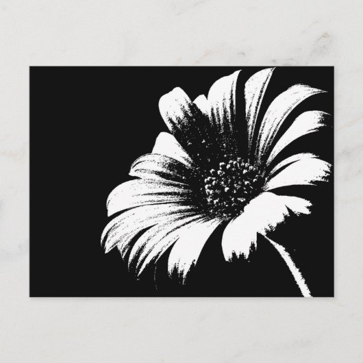 Daisy Postkarte (Vorderseite)