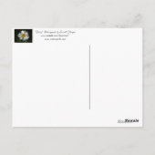 Daisy Postkarte (Rückseite)