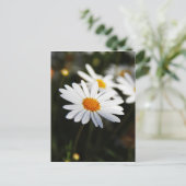Daisy Postkarte (Stehend Vorderseite)