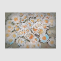 Daisy Print White Blumen Art Decoupage