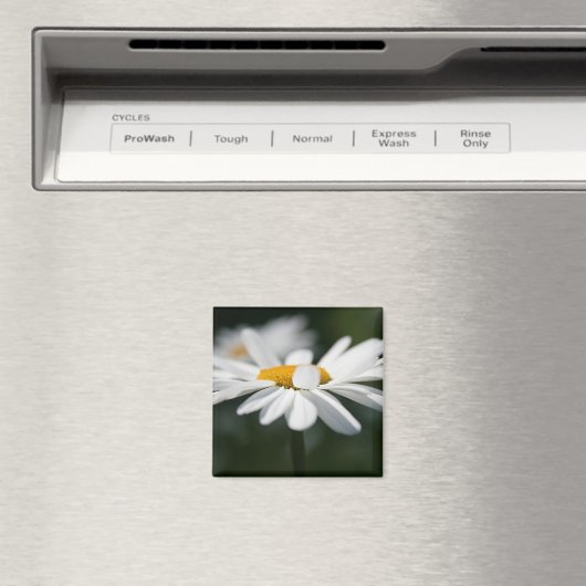 Daisy Profil Magnet (In Situ (Geschirrspüler))