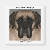 Daisy Promo Magnet (Vorne)