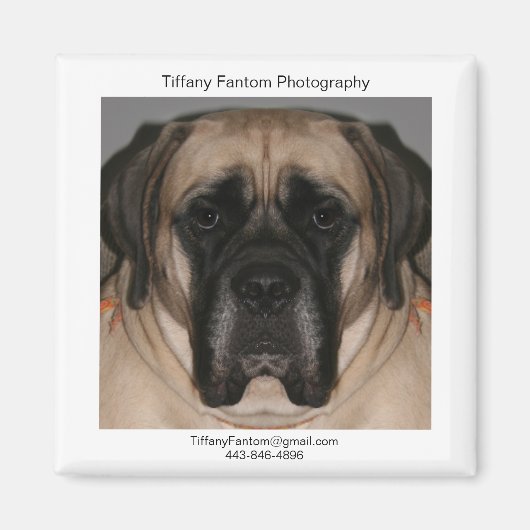 Daisy Promo Magnet (Vorne)