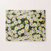 Daisy Puzzle (Horizontal)