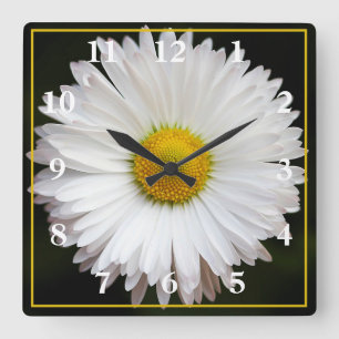 Daisy Quadratische Wanduhr