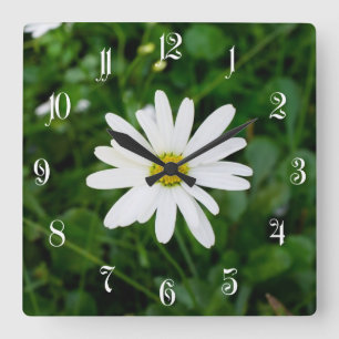 Daisy Quadratische Wanduhr